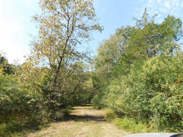 1101B Hidden Cove Rd, Gallatin, TN 37066 - photo 7