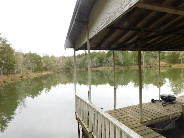 1101B Hidden Cove Rd, Gallatin, TN 37066 - photo 23
