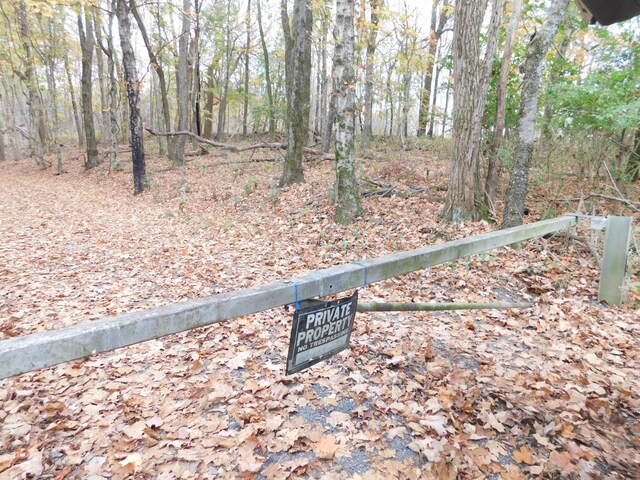 1101B Hidden Cove Rd, Gallatin, TN 37066 - photo 36
