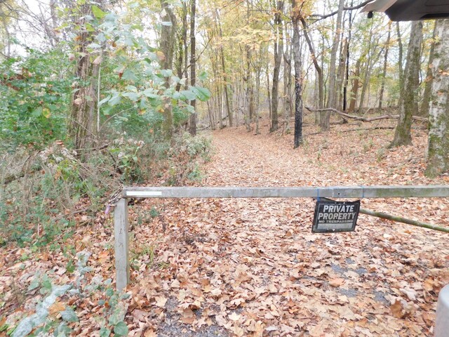 1101B Hidden Cove Rd, Gallatin, TN 37066 - photo 35