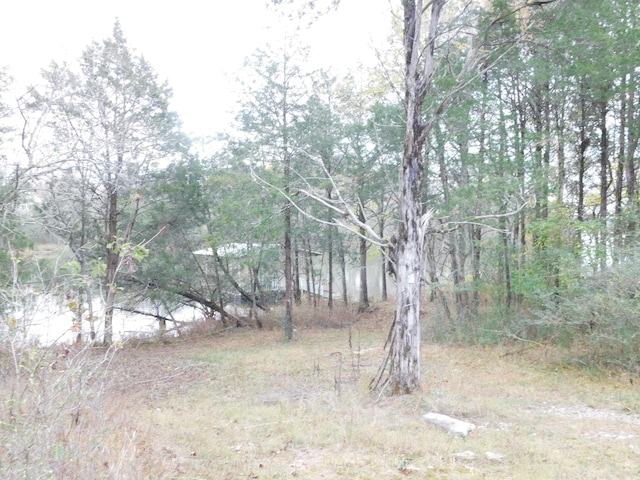 1101B Hidden Cove Rd, Gallatin, TN 37066 - photo 27