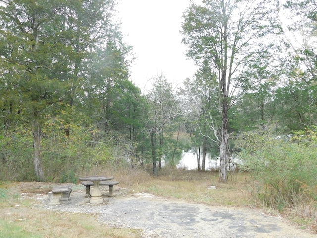 1101B Hidden Cove Rd, Gallatin, TN 37066 - photo 32
