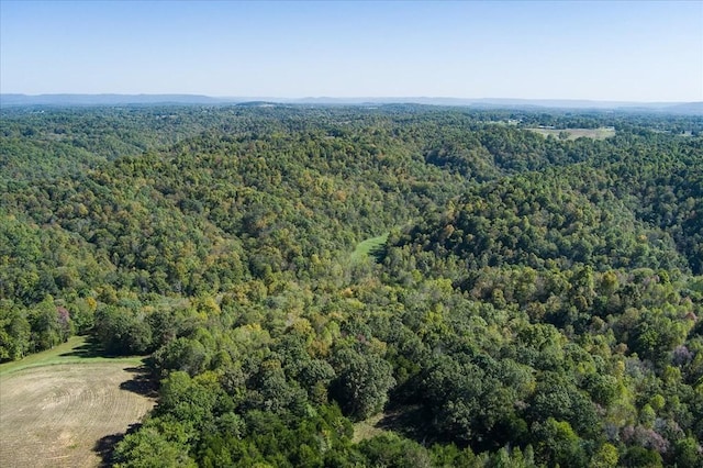9676 Heard Ridge Rd, Monroe, TN 38573 - photo 77