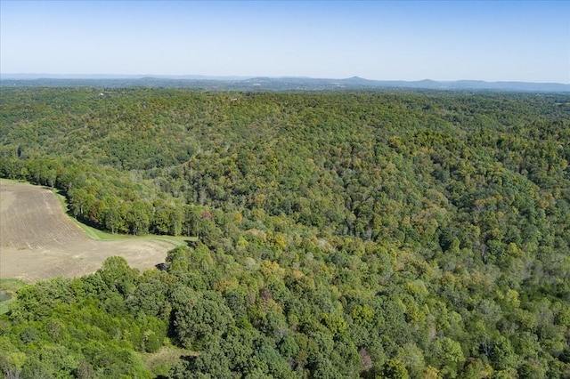 9676 Heard Ridge Rd, Monroe, TN 38573 - photo 81