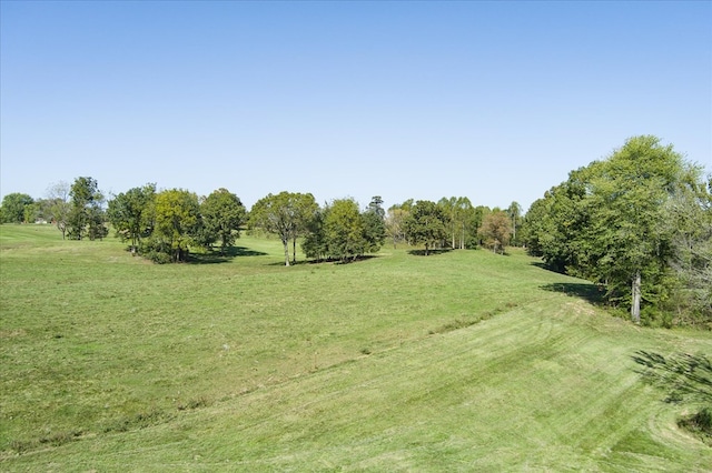 view of landscape with a rural view