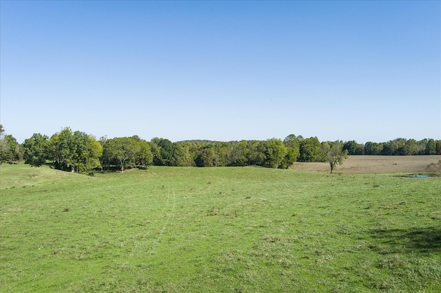 view of local wilderness featuring a rural view