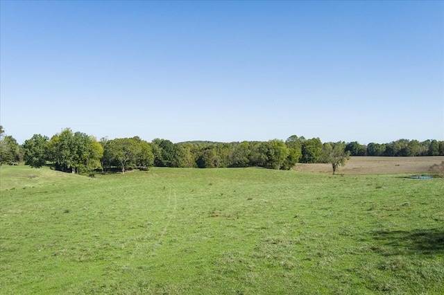 9676 Heard Ridge Rd, Monroe, TN 38573 - photo 79