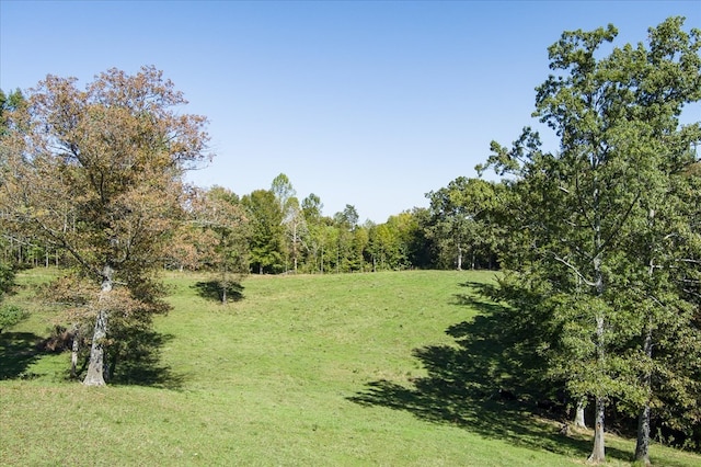 view of landscape