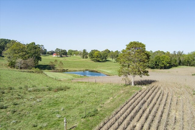 view of property's community featuring a yard, a water view, and a rural view