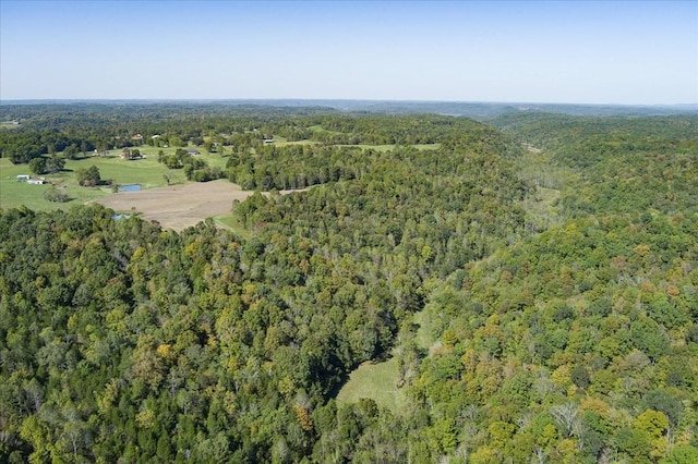 9676 Heard Ridge Rd, Monroe, TN 38573 - photo 63