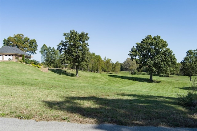 view of property's community featuring a lawn