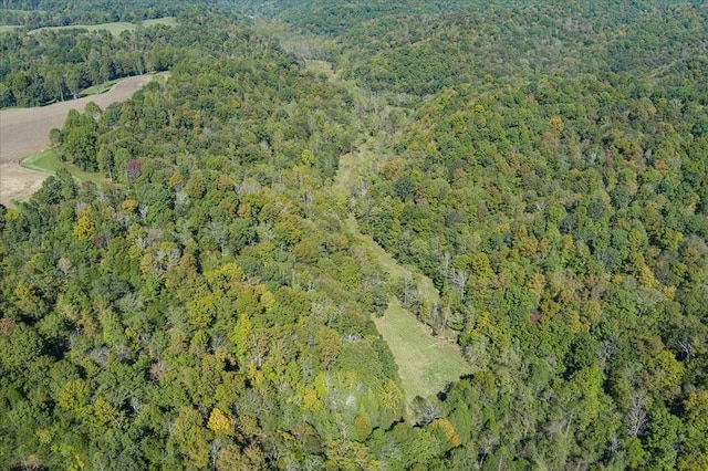 9676 Heard Ridge Rd, Monroe, TN 38573 - photo 80