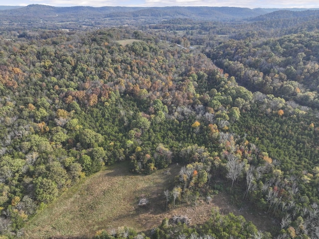 4981 Rock Hill Rd, Readyville, TN 37149