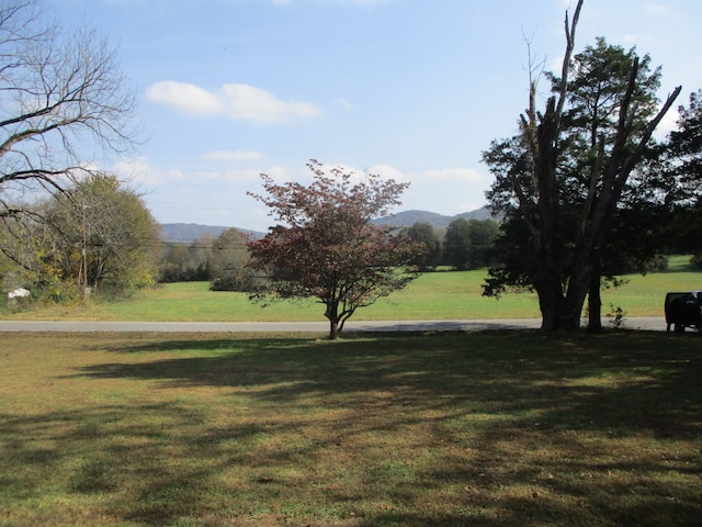 view of community with a yard and a mountain view