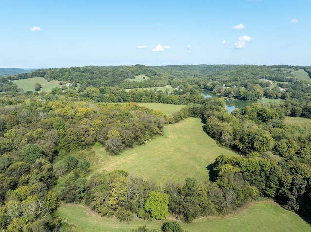 1936 Hobo Shaw Rd, Lewisburg, TN 37091 - aerial view of a heavily wooded area