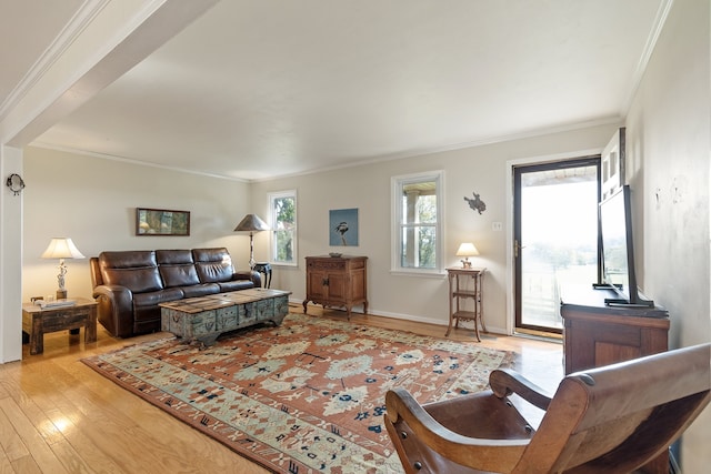 living room with light hardwood / wood-style flooring and crown molding