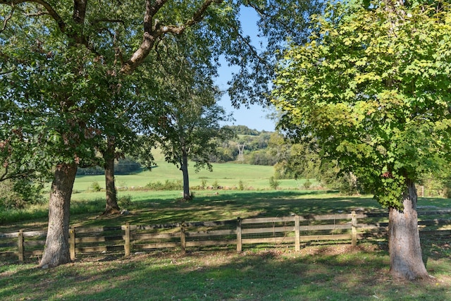 view of yard with a rural view