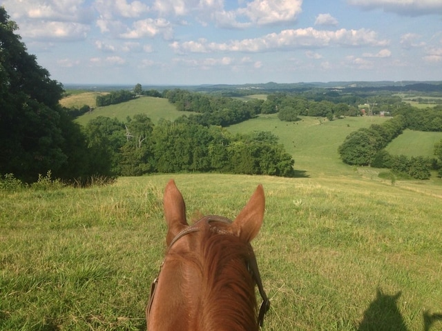 view of yard featuring a rural view