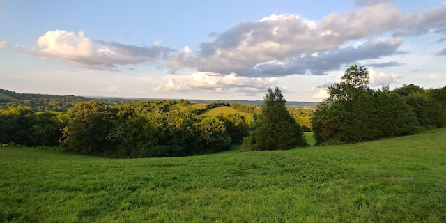 view of local wilderness