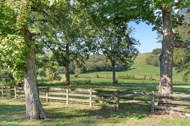 view of yard with a rural view