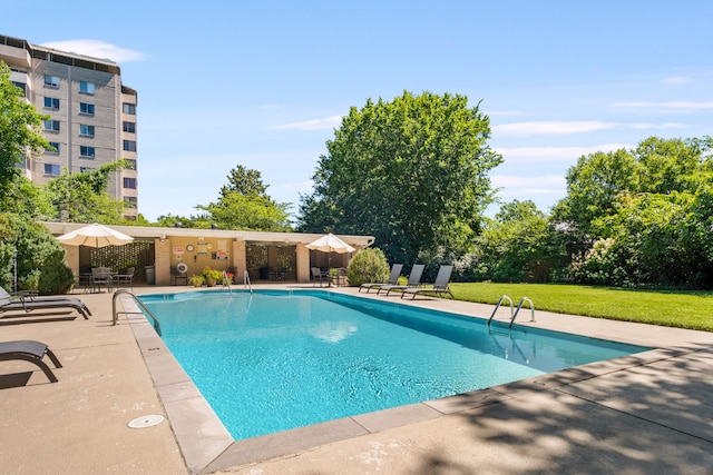 view of pool featuring a patio area