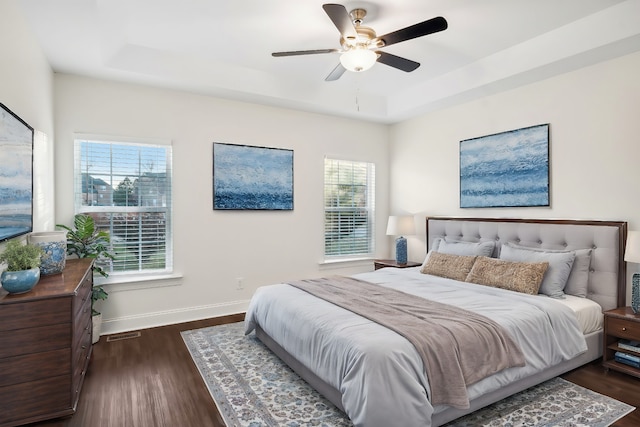 bedroom with a raised ceiling, multiple windows, ceiling fan, and dark wood-type flooring