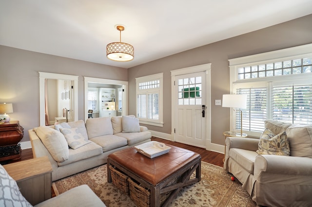 living room with wood-type flooring and a wealth of natural light