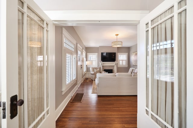 living room featuring dark hardwood / wood-style floors