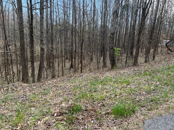 0 Crestview, Bumpus Mills TN, 37028 land for sale