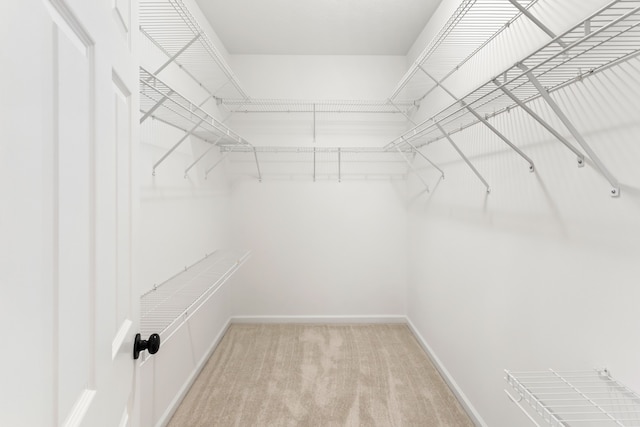 spacious closet featuring light colored carpet