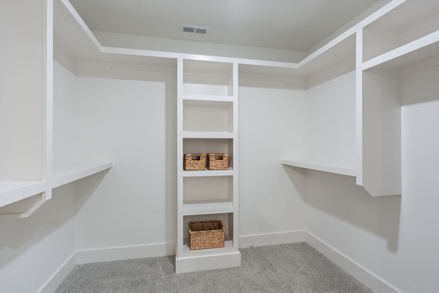 spacious closet featuring carpet