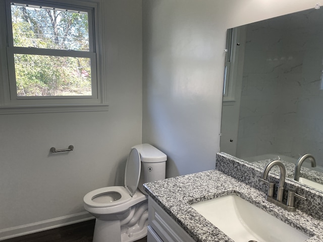 bathroom with vanity, wood-type flooring, and toilet