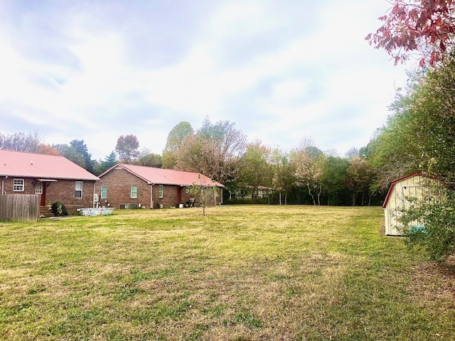 view of yard with a storage shed