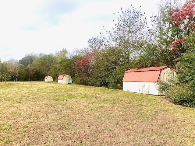 view of yard with a storage shed