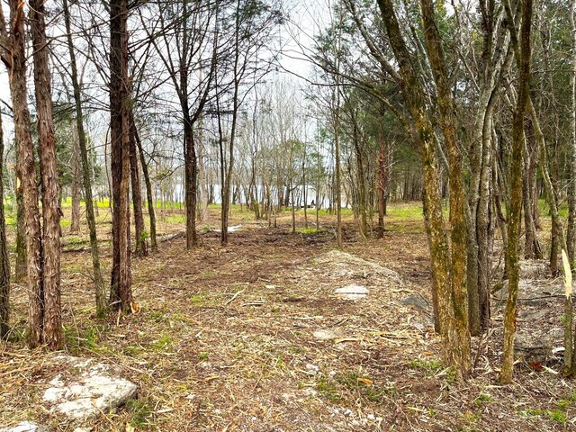 302 Stonebrook Pt, Lebanon, TN 37087 - photo 6
