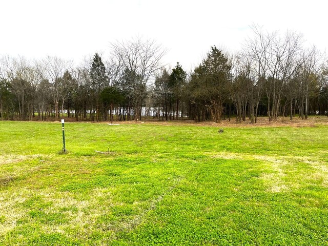 302 Stonebrook Pt, Lebanon, TN 37087 - photo 5