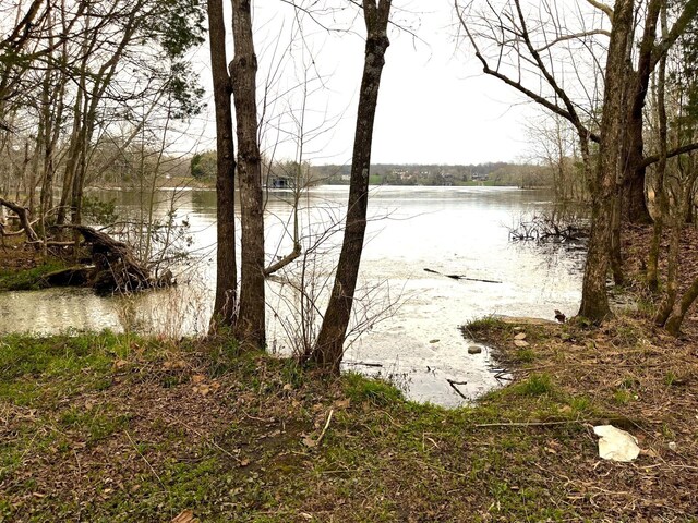 302 Stonebrook Pt, Lebanon, TN 37087 - photo 7