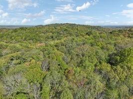 0 Howell Rd, Mount Pleasant, TN 38474 - photo 5