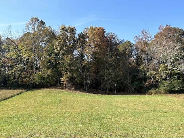 948 Hidden River Rd, Rock Island, TN 38581 - view of yard