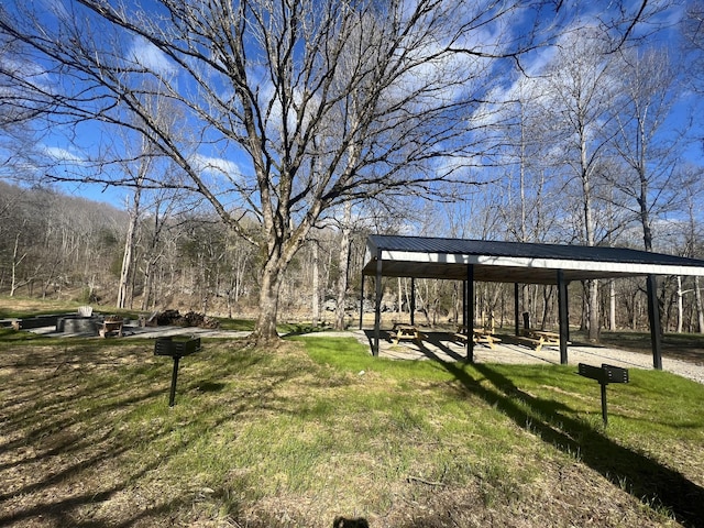 948 Hidden River Rd, Rock Island, TN 38581 - surrounding community featuring a yard and a gazebo