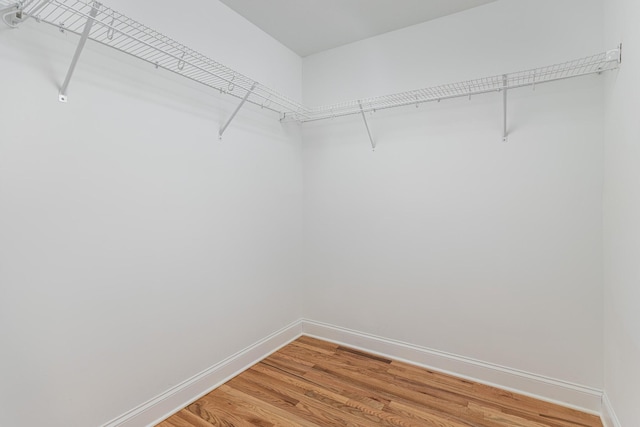 walk in closet with hardwood / wood-style floors