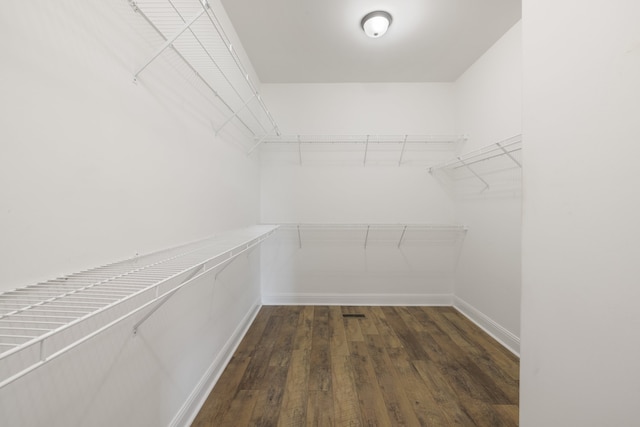 spacious closet featuring dark hardwood / wood-style floors