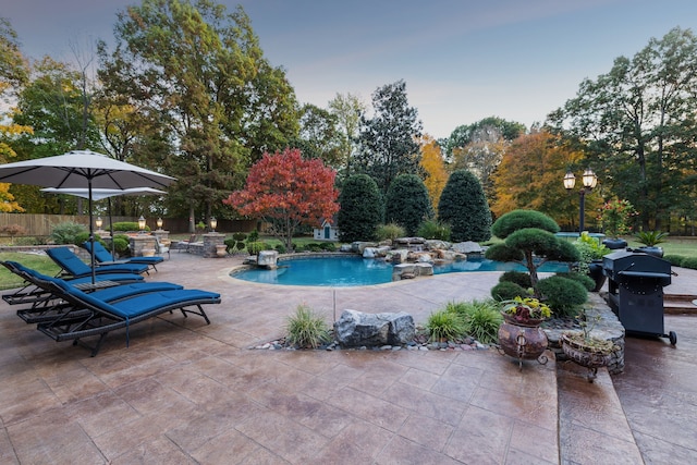 view of pool featuring area for grilling and a patio