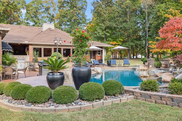 view of swimming pool with a patio area