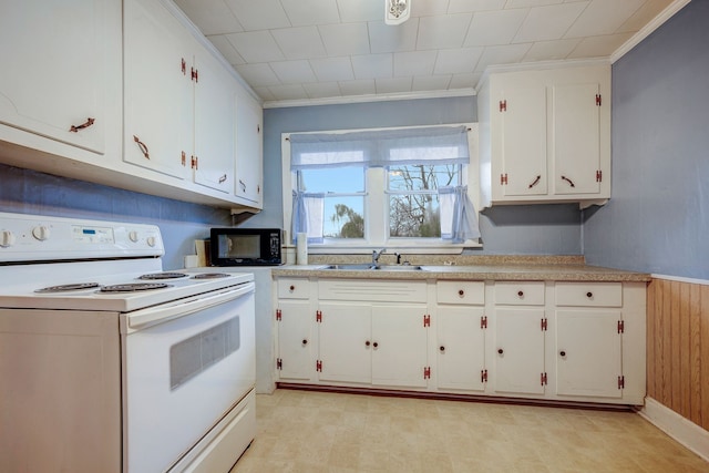 kitchen with wood walls, white range with electric cooktop, white cabinets, sink, and ornamental molding