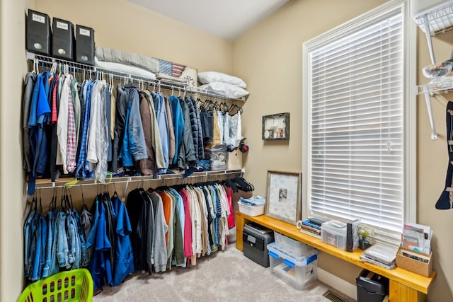 spacious closet featuring carpet floors