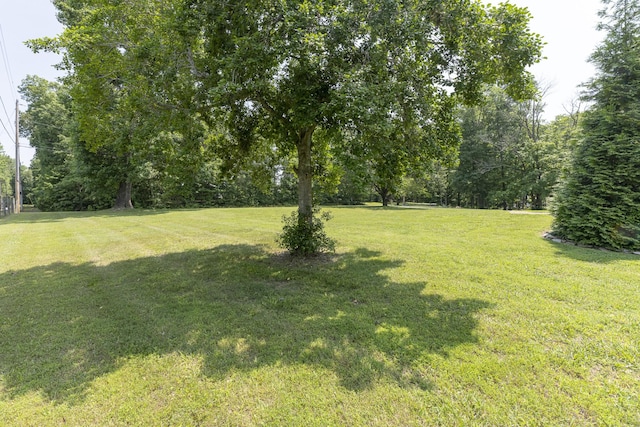 3700 Shady Grove Rd, Clarksville, TN 37043 - photo 39