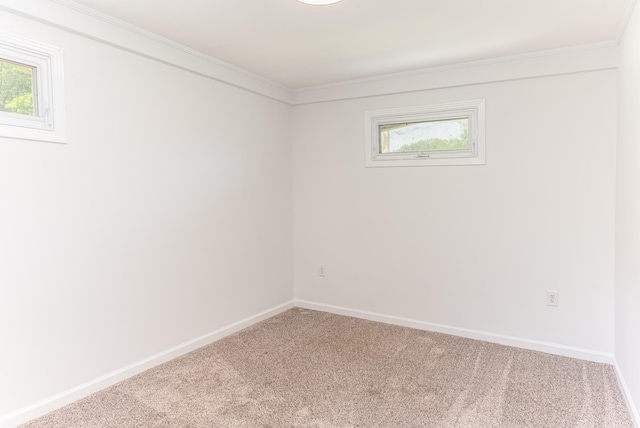 3700 Shady Grove Rd, Clarksville, TN 37043 - photo 22