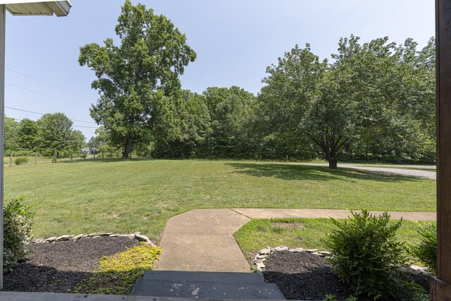 3700 Shady Grove Rd, Clarksville, TN 37043 - photo 38