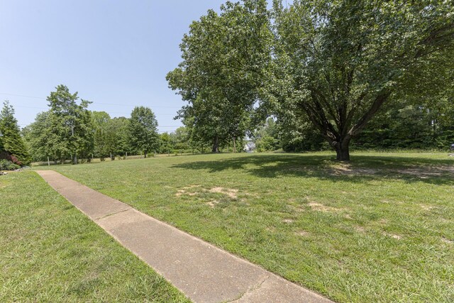 3700 Shady Grove Rd, Clarksville, TN 37043 - photo 40